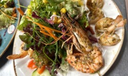 Garnelen-Salat - bunter Salat mit Knoblauch-Garnelen ©Özay Kül