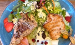 Sportler-Salat - Salate der Saison mit Putenfleisch und saisonalem frischem Obst ©Özay Kül